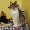 Отзыв от Лена Широкова